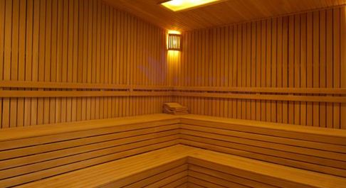 safran-termal-sauna